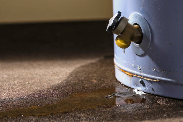 Best Mold removal after water damage  in Chandler, AZ