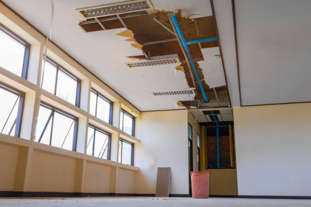 Best Water damage restoration mold remediation  in Chandler, AZ