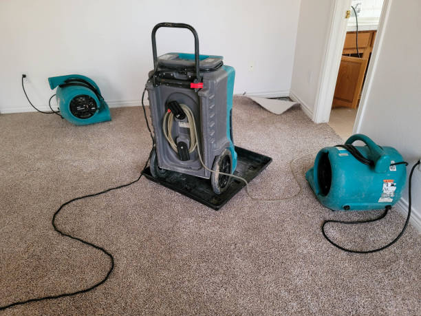  Chandler, AZ Water damage restoration Pros