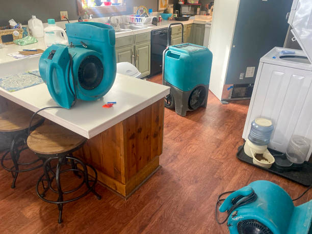 Best Basement water damage restoration  in Chandler, AZ