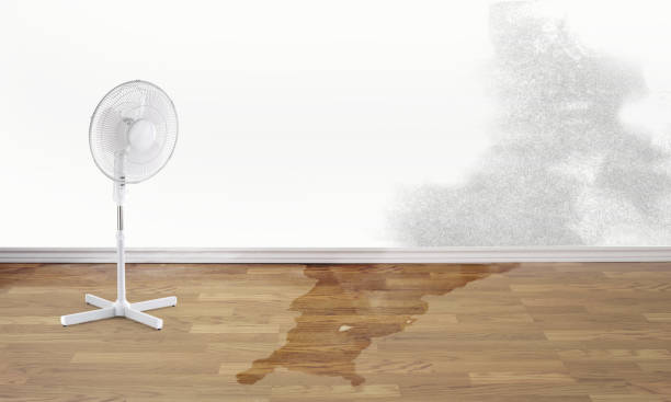  Chandler, AZ Water damage restoration Pros