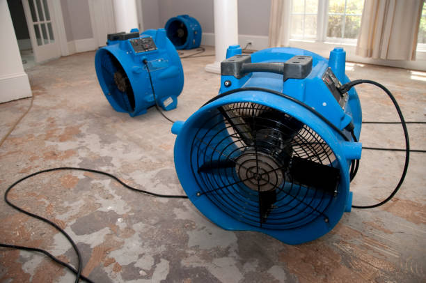 Best Sewage cleanup and water damage restoration  in Chandler, AZ