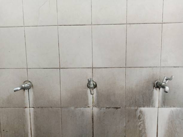 Best Emergency water extraction  in Chandler, AZ