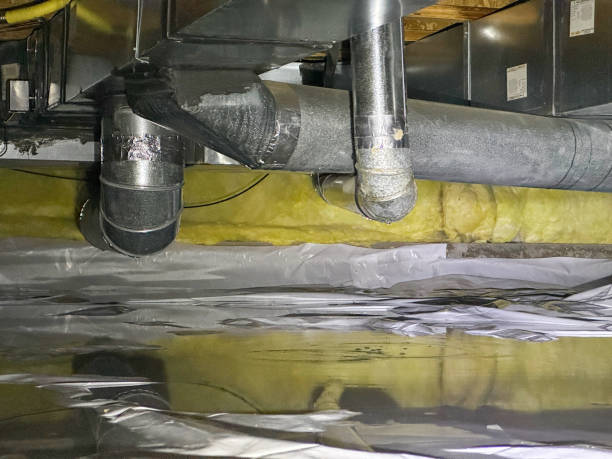 Best Basement water damage restoration  in Chandler, AZ